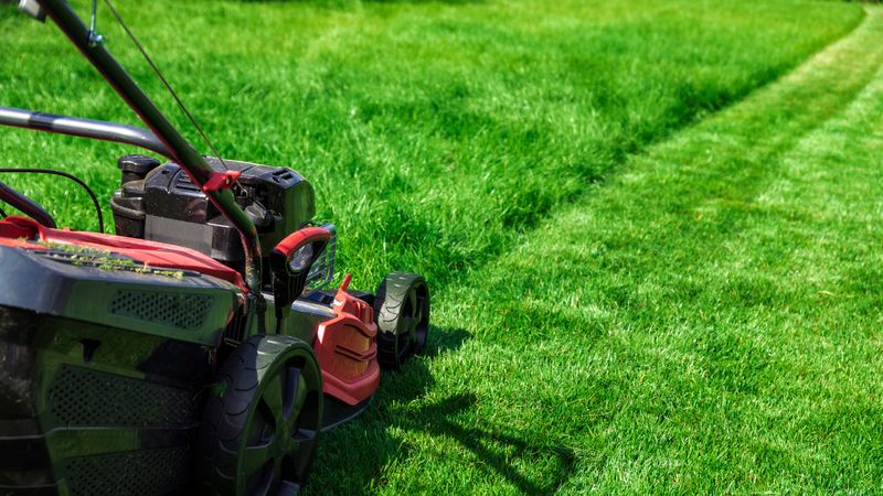 Professional Lawn Care